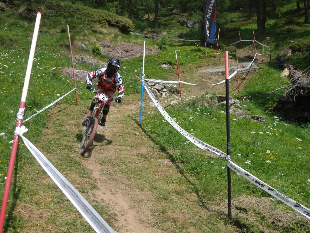 Albergo Alpenrose Ski&Bike Mountain Hotel Гресоне Сен Жан Екстериор снимка
