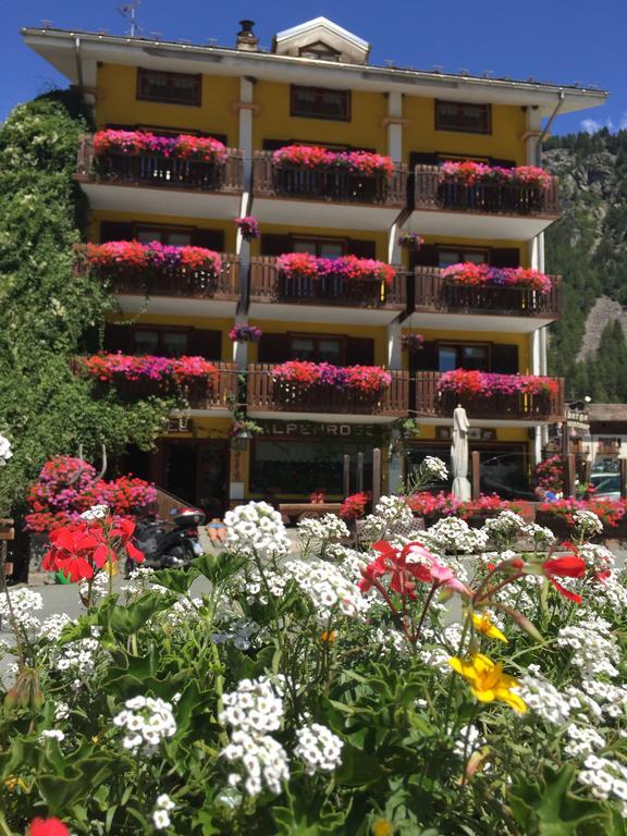 Albergo Alpenrose Ski&Bike Mountain Hotel Гресоне Сен Жан Екстериор снимка