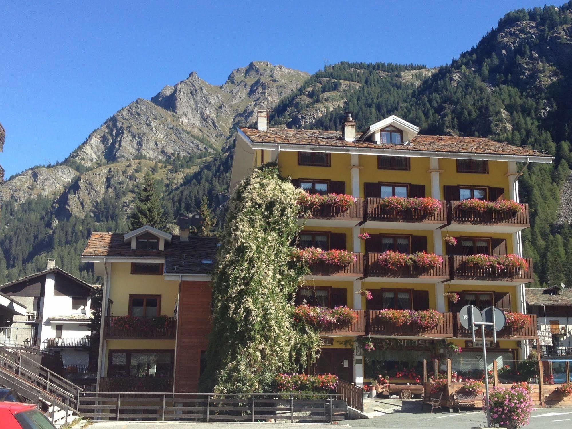 Albergo Alpenrose Ski&Bike Mountain Hotel Гресоне Сен Жан Екстериор снимка